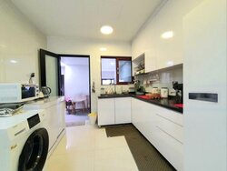 Joo Chiat Place (D15), Terrace #457206341
